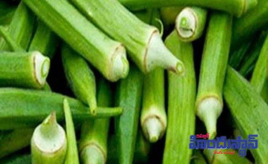 బెండకాయలతో ఈ రోగాలన్నీ పరార్..!